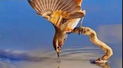 心弦相牵,牵挂生暖:论缘分、守护与心灵的归