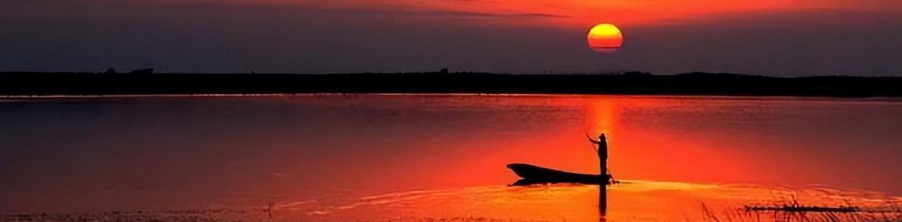 1771801588884746.jpg 1771767069701.jpg